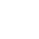 Apple iOS